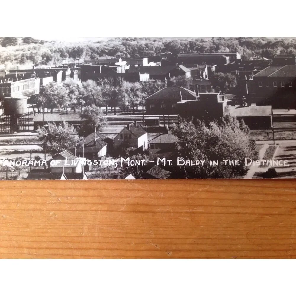 1955 Vtg Sanborn Panorama Livingston Montana Mount Baldy Real Photo Postcard